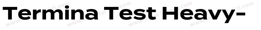 Termina Test Heavy字体转换